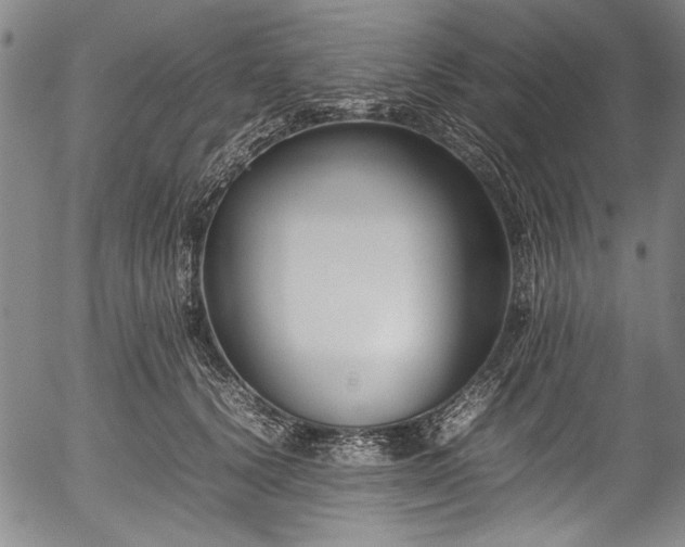 X0000054430656200508011359