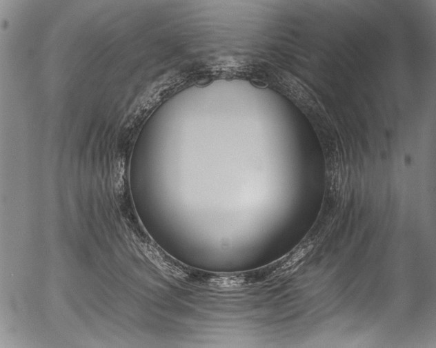 X0000054430660200508011359