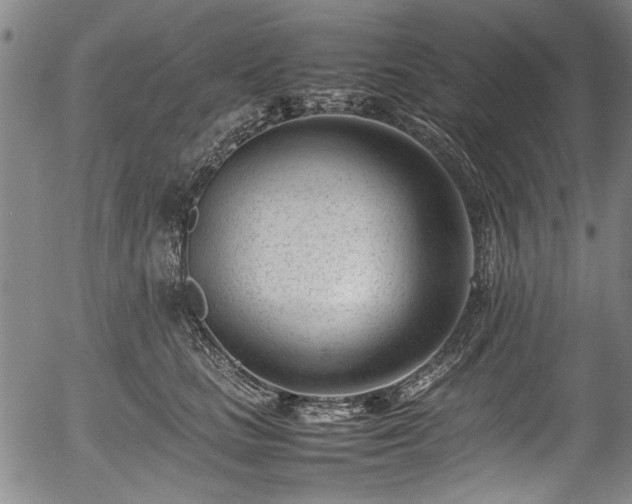X0000054430661200508011359