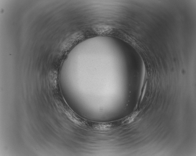 X0000054430664200508011359