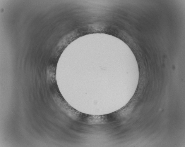 X0000054430672200508011359