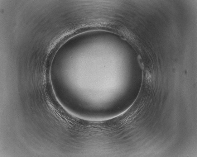 X0000054430676200508011358