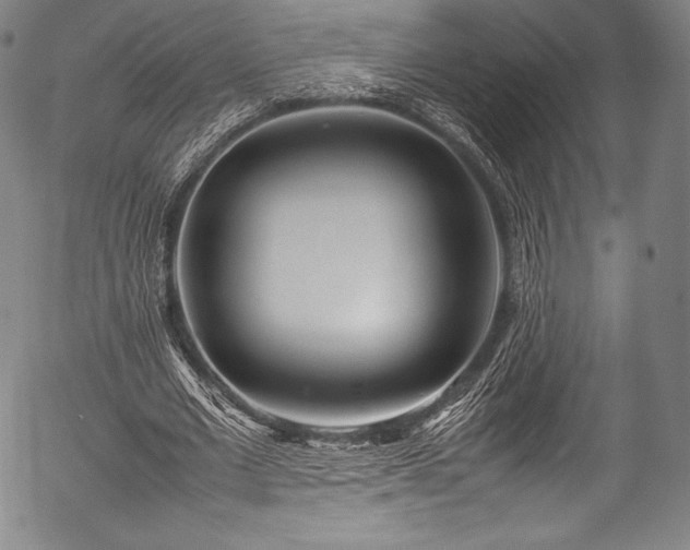 X0000054430677200508011358