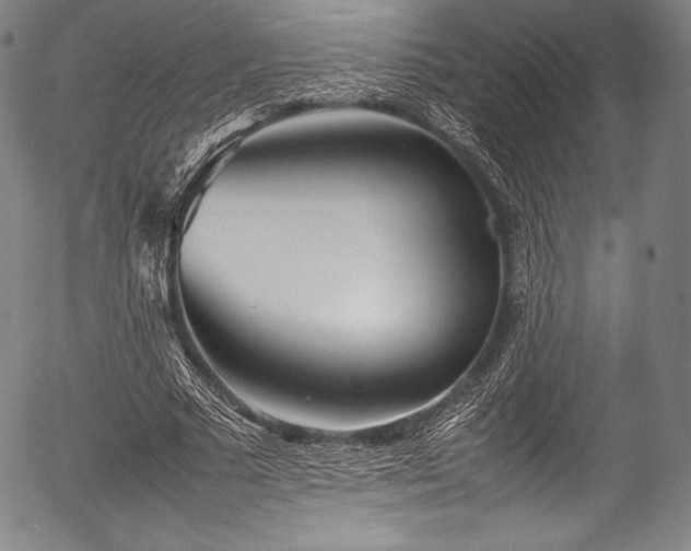X0000054430681200508011358