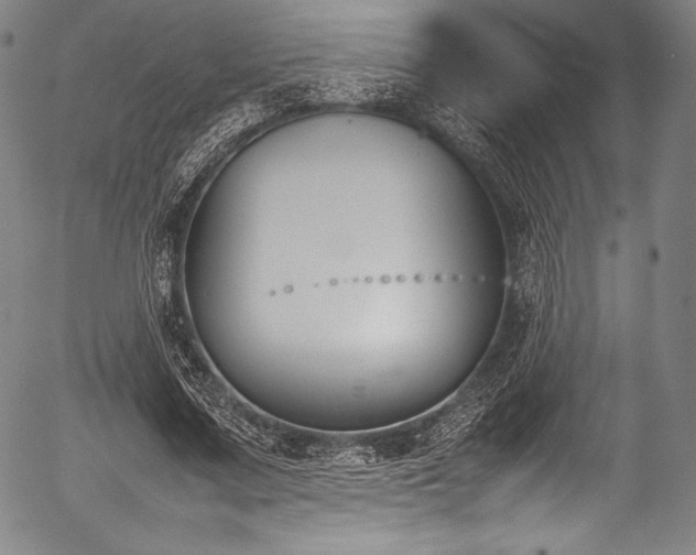 X0000054430683200508011358