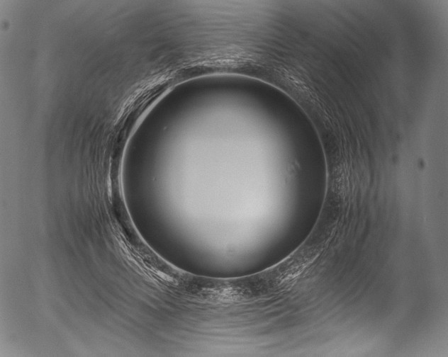 X0000054430688200508011358