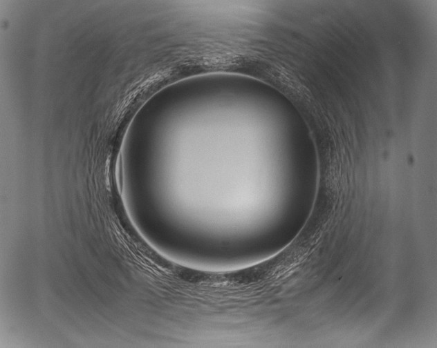X0000054430689200508011358