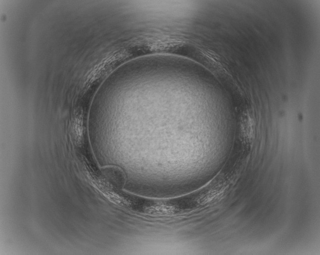 X0000054430691200508011358