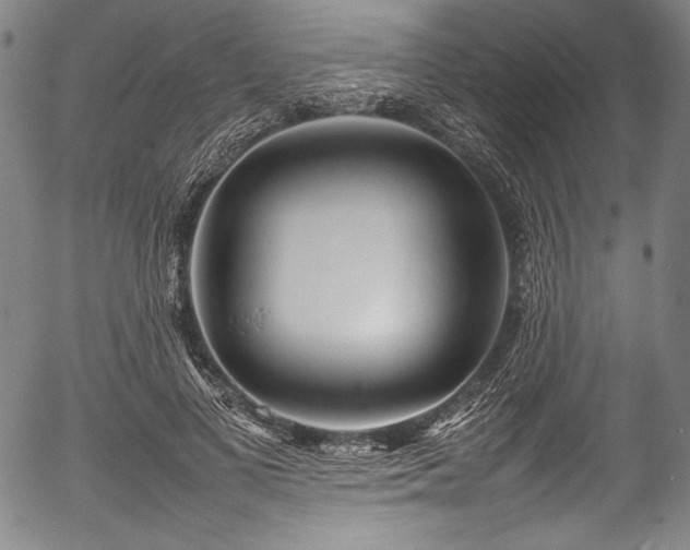 X0000054430693200508011358