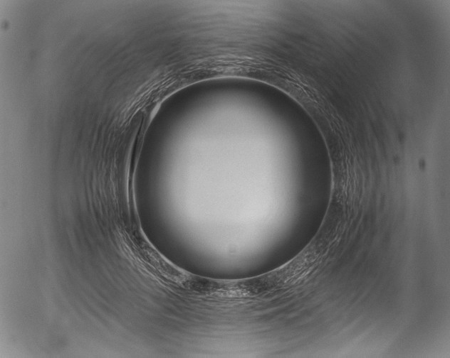 X0000054430696200508011358
