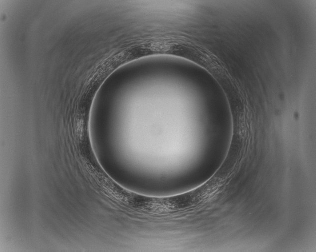 X0000054430697200508011358