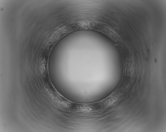 X0000054430702200508011358