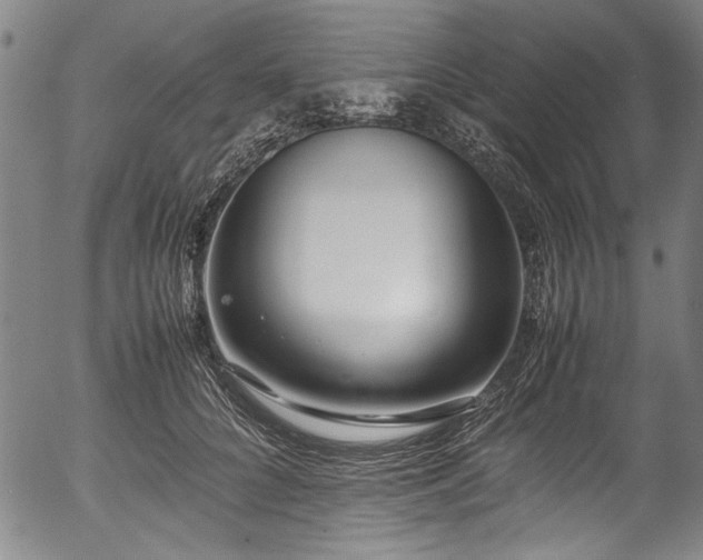 X0000054430704200508011358