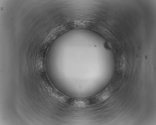 X0000054430706200508011358