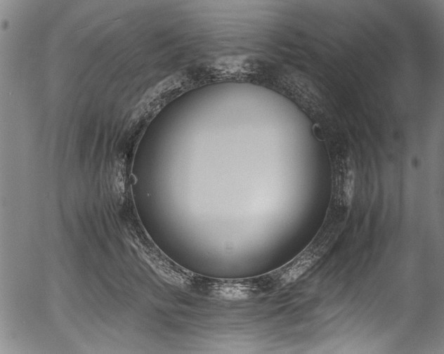 X0000054430710200508011357