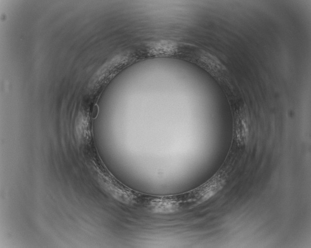 X0000054430714200508011357