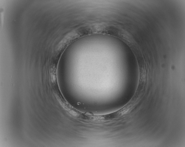 X0000054430719200508011357