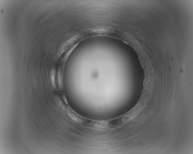 X0000054430720200508011357