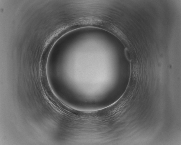 X0000054430722200508011357