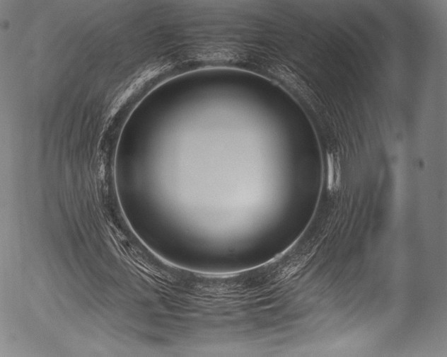 X0000054430723200508011357