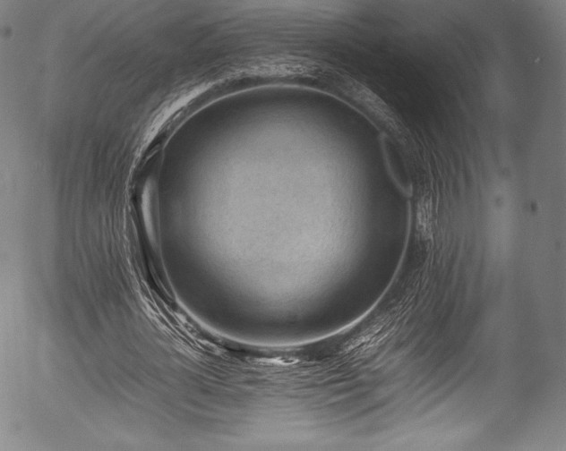 X0000054430724200508011357