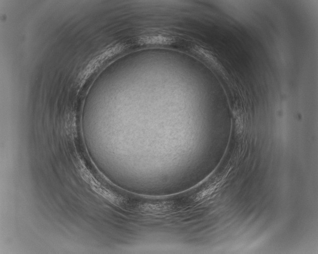 X0000054430725200508011357