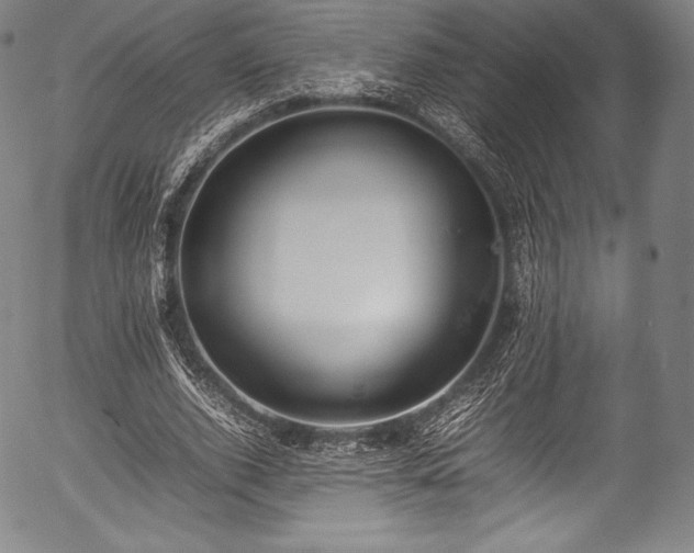 X0000054430728200508011357