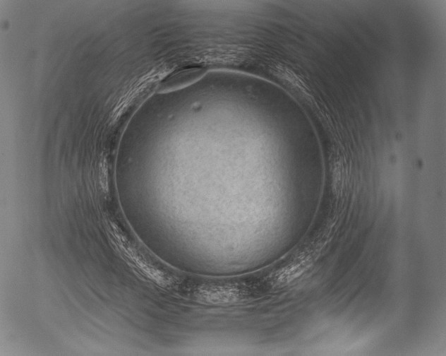 X0000054430729200508011357