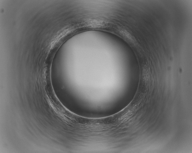 X0000054430730200508011357