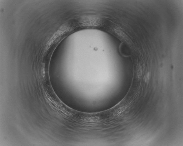 X0000054430731200508011357