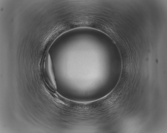 X0000054430735200508011357