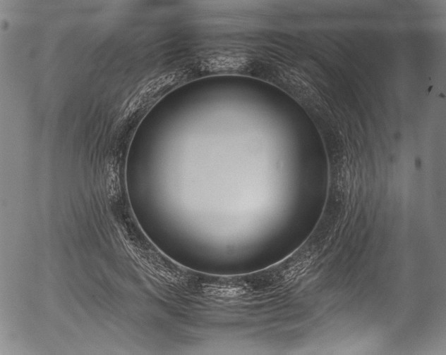X0000054430743200508011357