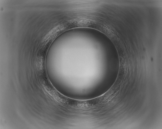 X0000054430744200508011357