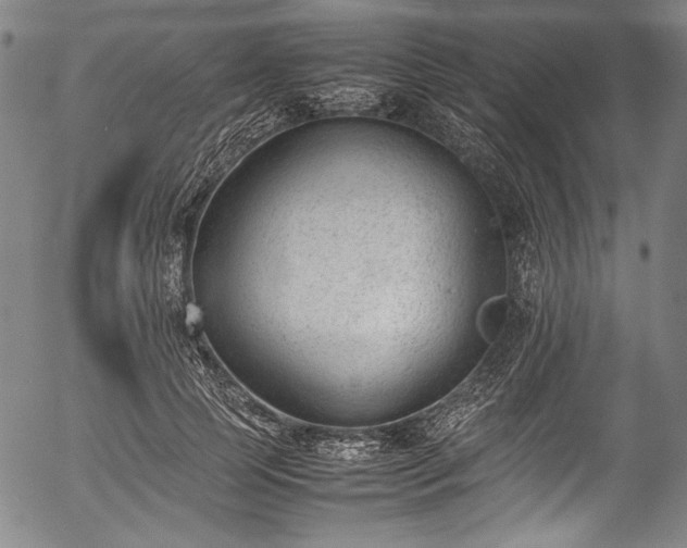 X0000054430745200508011357