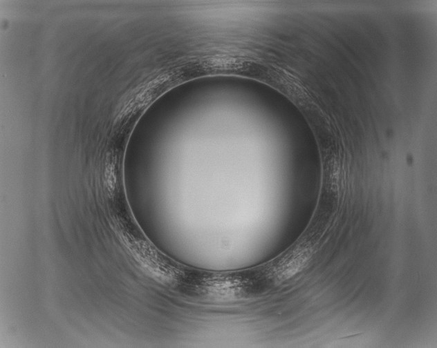 X0000054430746200508011357