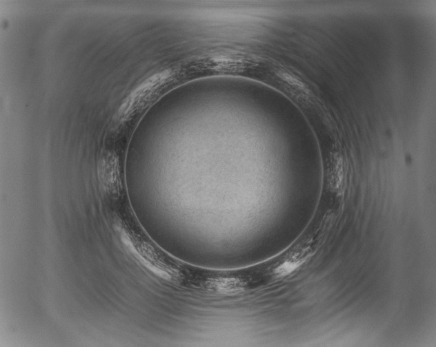 X0000054430748200508011357
