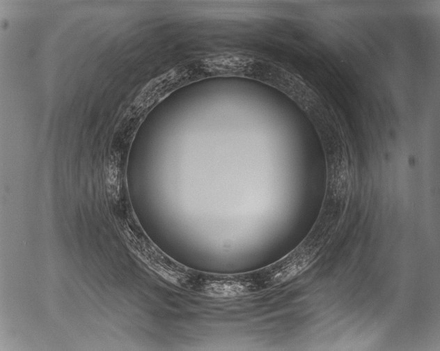 X0000054430749200508011357
