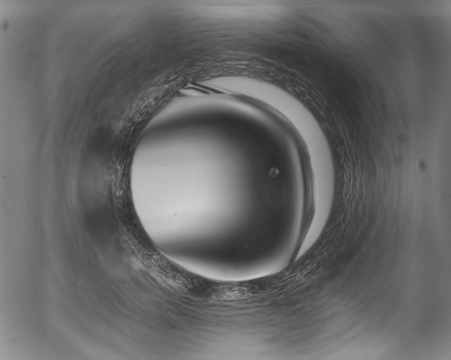 X0000054430750200508011357