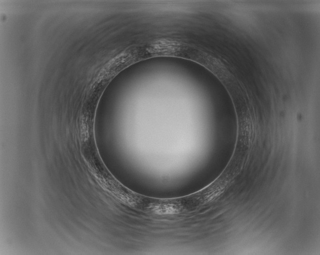 X0000054430751200508011357