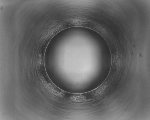 X0000054430752200508011357