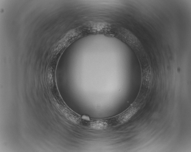 X0000054430754200508011357