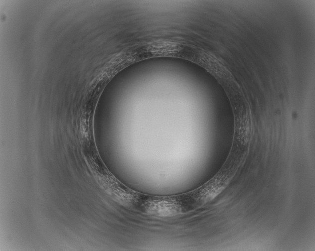 X0000054430755200508011357