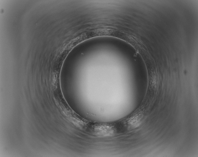 X0000054430759200508011357