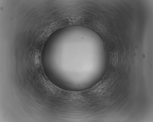 X0000054430770200508011356