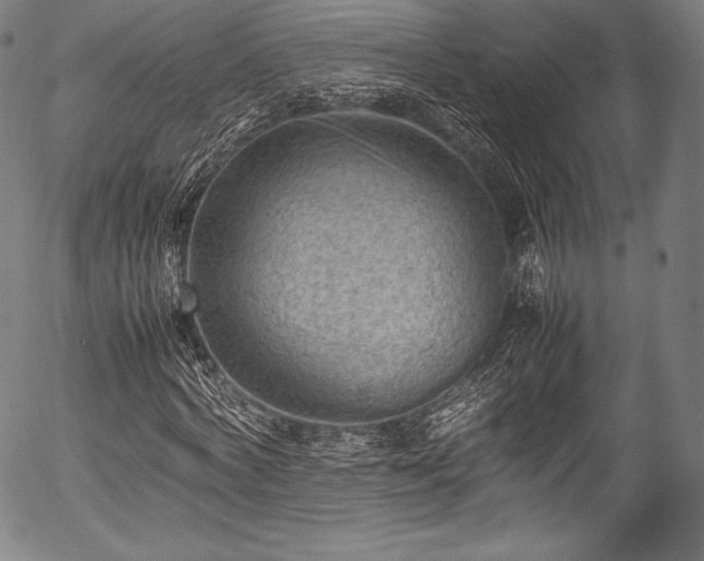 X0000054430772200508011356