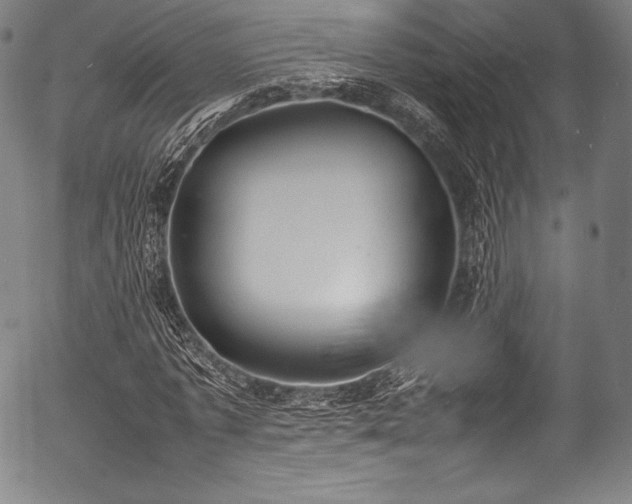 X0000054430773200508011356