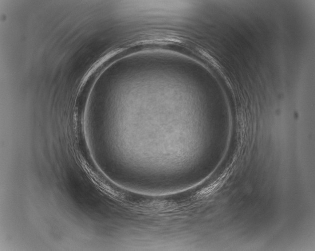 X0000054430779200508011356
