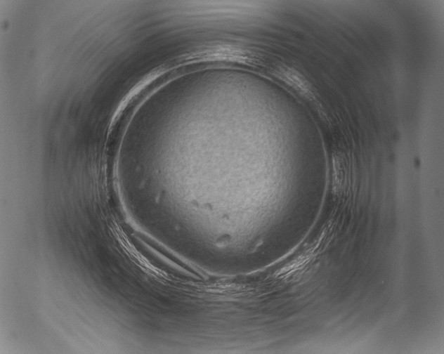 X0000054430780200508011356