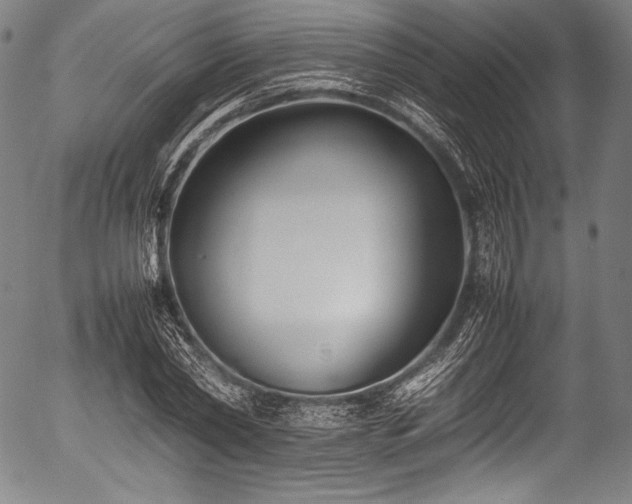 X0000054430782200508011356