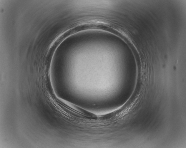 X0000054430783200508011356
